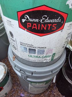 Paint material