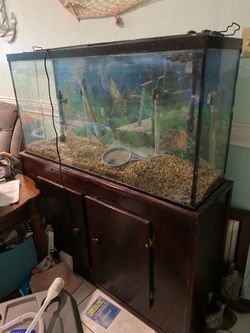 55 Gallon Fish Tank with stand