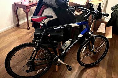 Iguana giant mountain bike