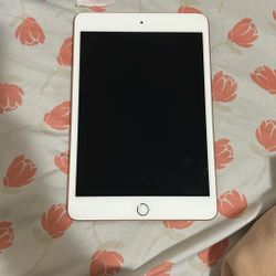 Used iPad Mini 5th Gen 