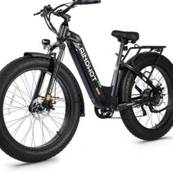 Ainohot Terra E-Bike