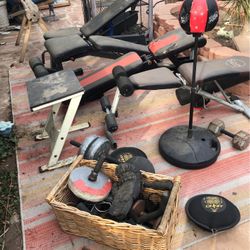 Gym Equipment