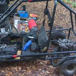 Murray Go Kart