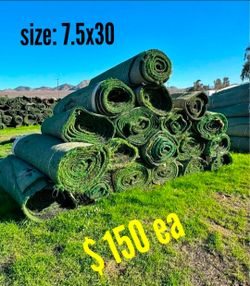 lower lake- used artificial grass