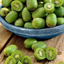 Hardy Kiwi