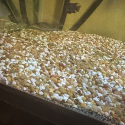 180 Pounds Worth Of Fish Tank Gravel