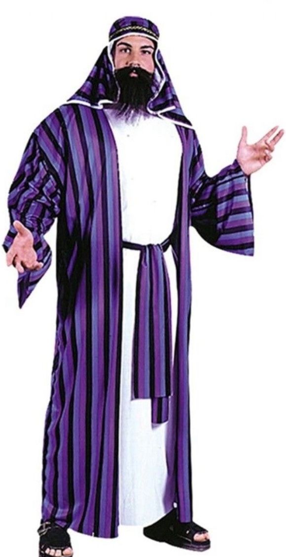 Chic Shiek Striped Robes Costume Standard One Size 33-42 Halloween Festival Fun