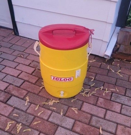 Large 10 Gal. Igloo Dispensing Cooler