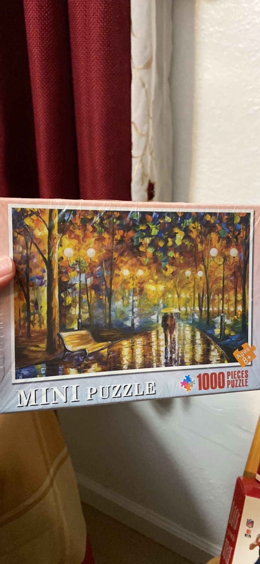 1,000 Piece Mini Puzzle - A Rainy Night