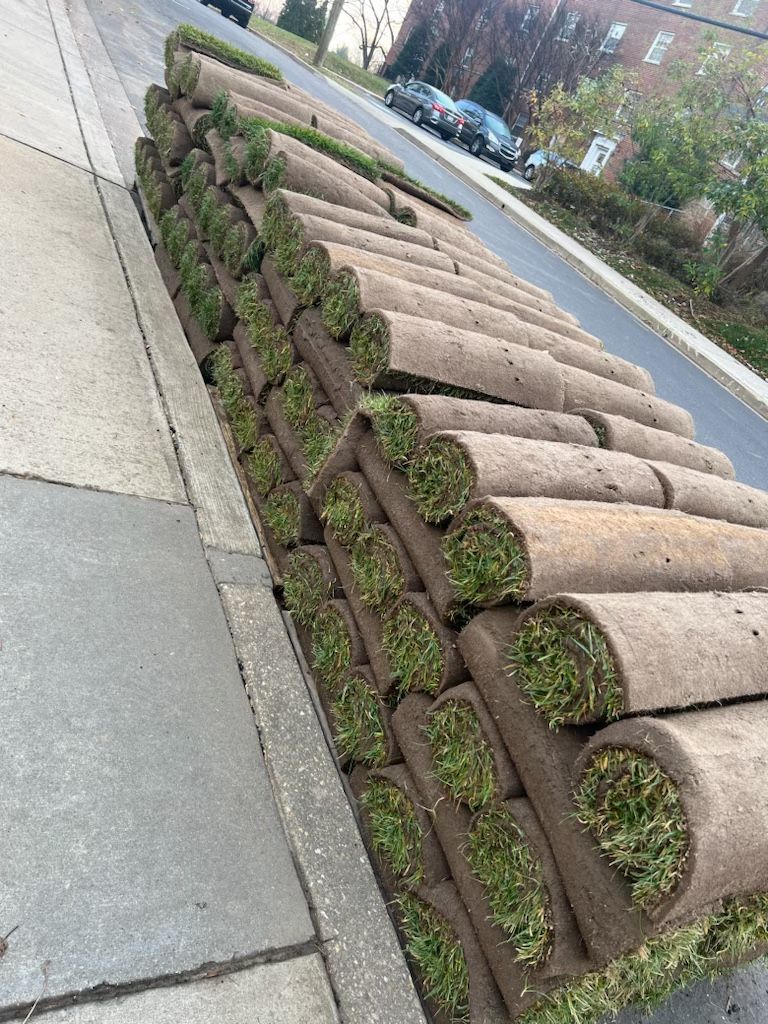 Fresh Sod cut every morning
