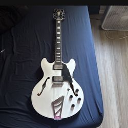 Dangelico Electric Guitar