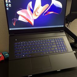iBUYPOWER 17.3” Gaming Laptop | i7-10875H | RTX 2060 | 16GB | 500GB NVMe | 144Hz