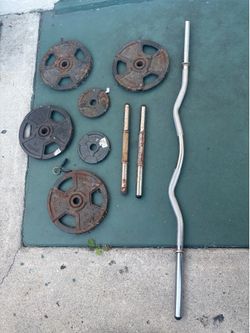 Olympic Curl Bar