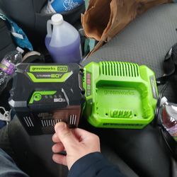 Greenworks battery  and charger