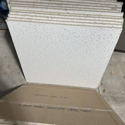 Drop Ceiling Tiles 2x4 