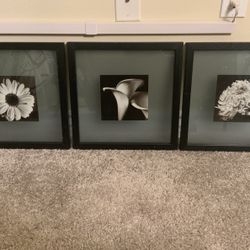 Glass Floral Photographs (Framed)