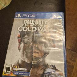 PS4 Game