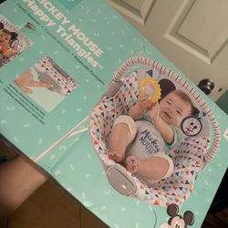 Baby Bouncer 