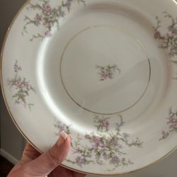 6 Floral Princess Fine China Plates