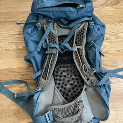 Osprey travel backpack 