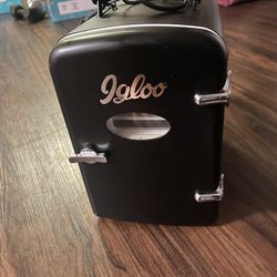 Igloo Mini Cooler