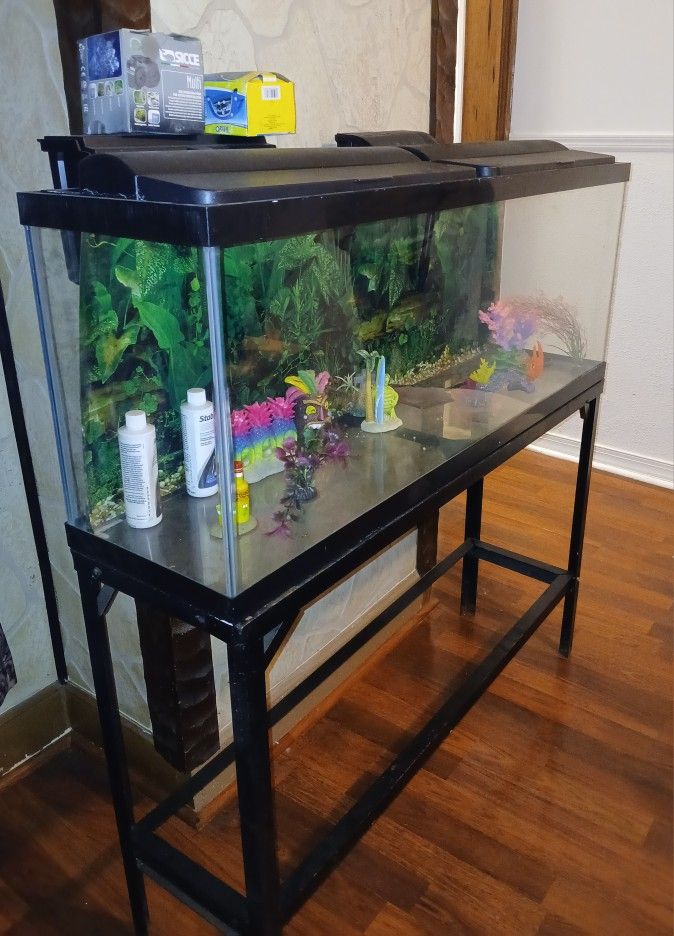 Fish Tank With Stand
