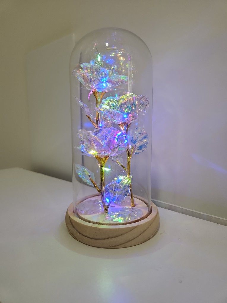 LED Glass Preserved Rose Decoration