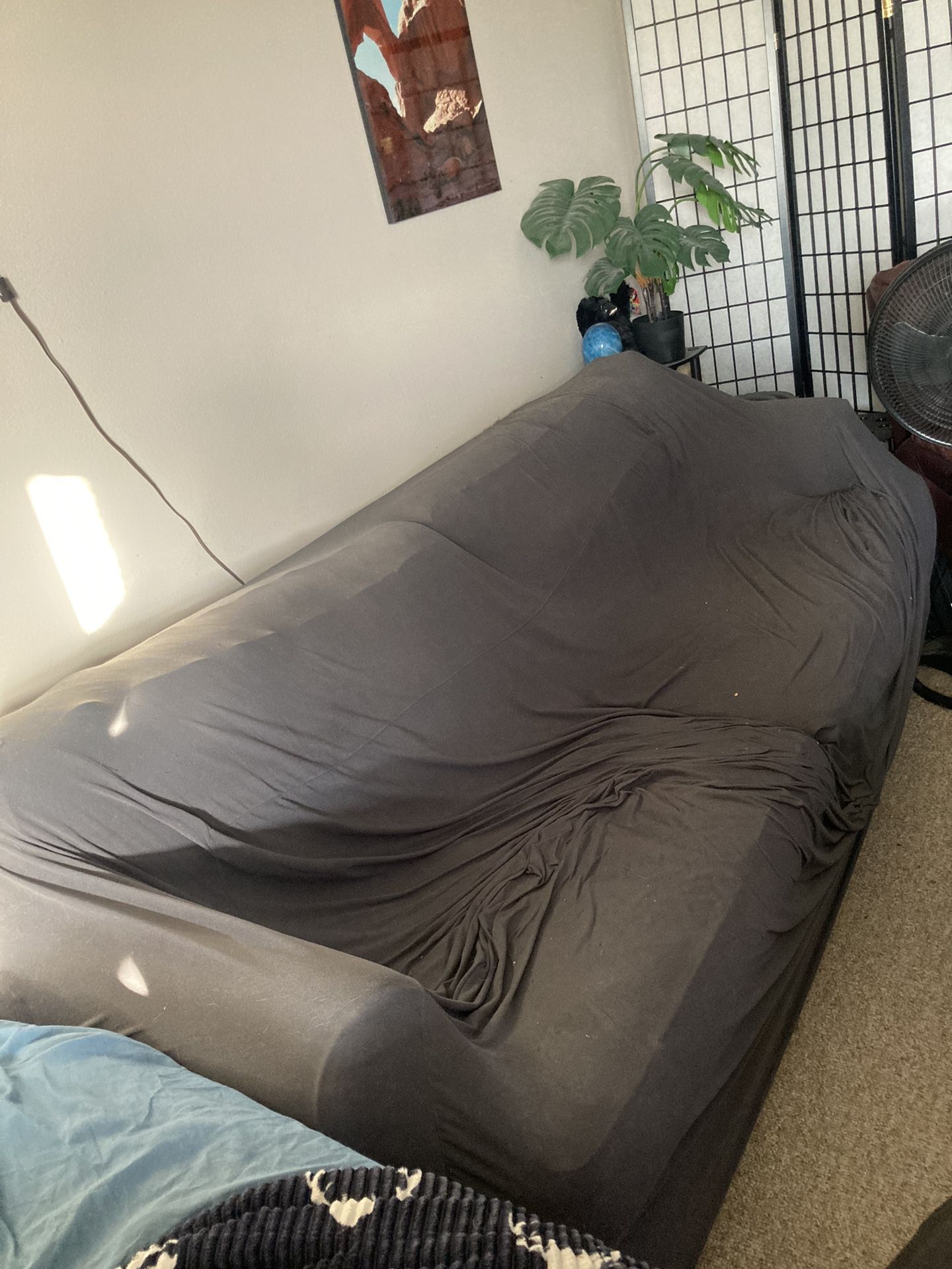 Couch (free - must pick up)