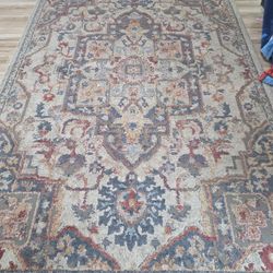 Area Rug - Pet Free Home
