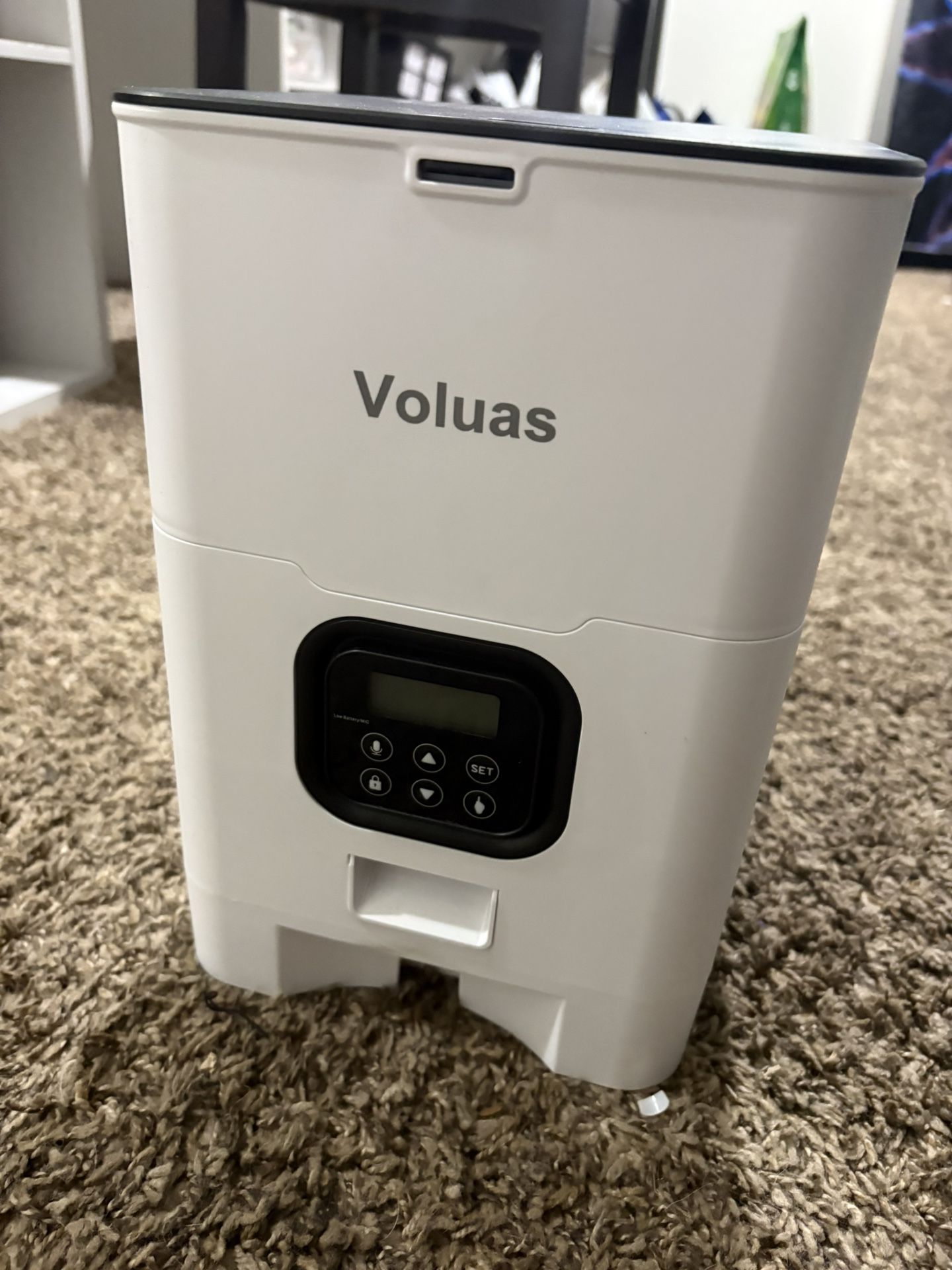 Automatic Pet Food Dispenser 