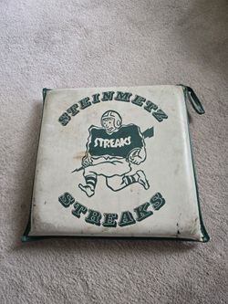 STEINMETZ HIGH SCHOOL STREAKS SEAT CUSHION