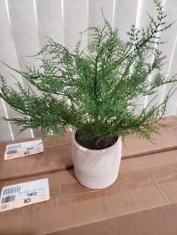 Threshold Asparagus Artificial Fern Leaf In Pot