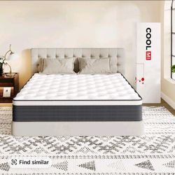Mattresses & Bed Frame Size: Queen   60*12*80
