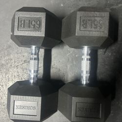 65lb Dumbbells 