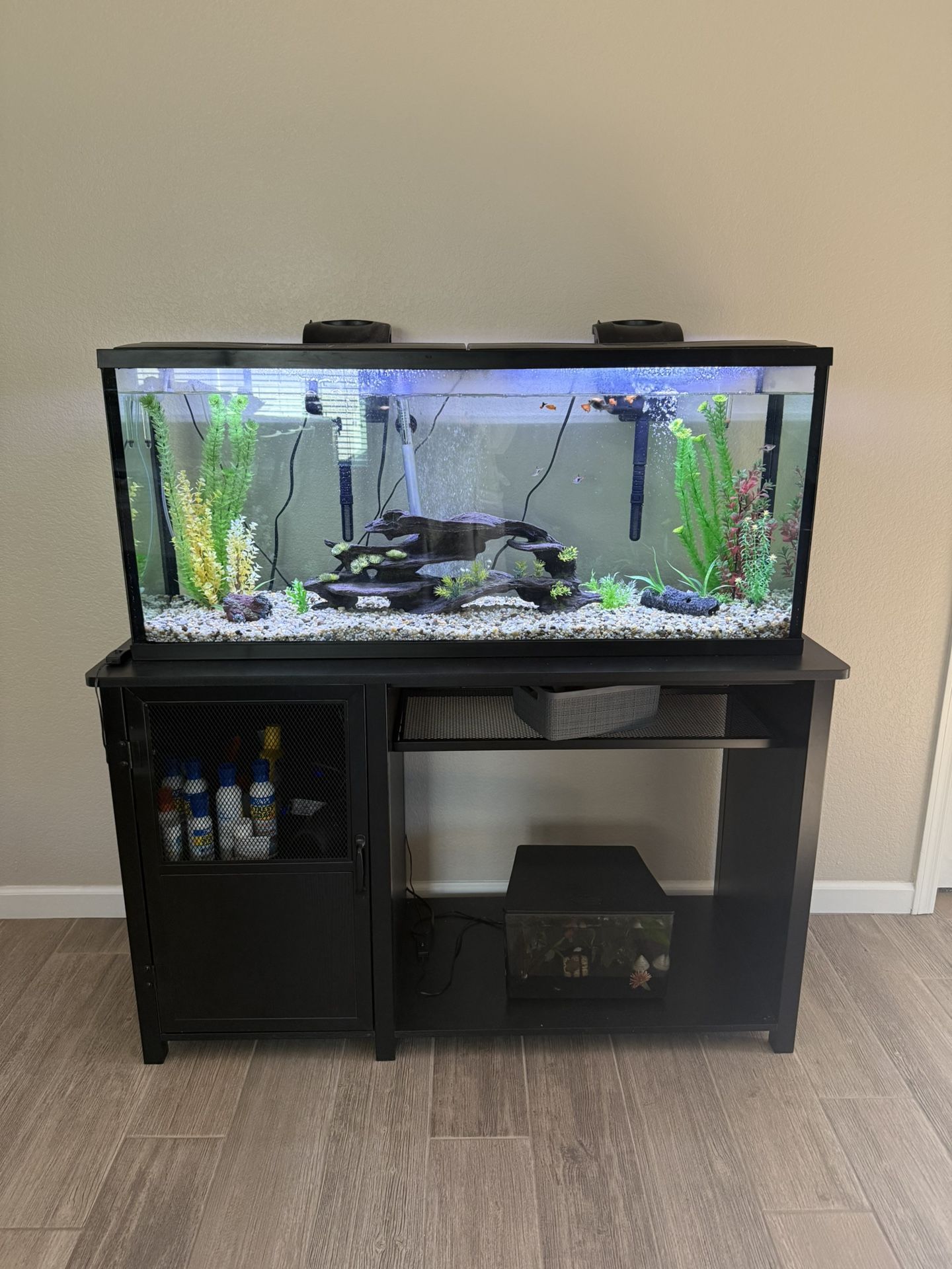 55 Gallon Fish tank