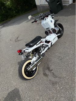 Ruckus Honda mad dogg scooter bike 4sale