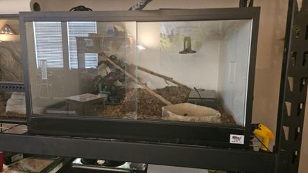 Terrarium