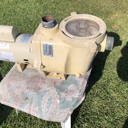 Swimming Pool Pump And Motor