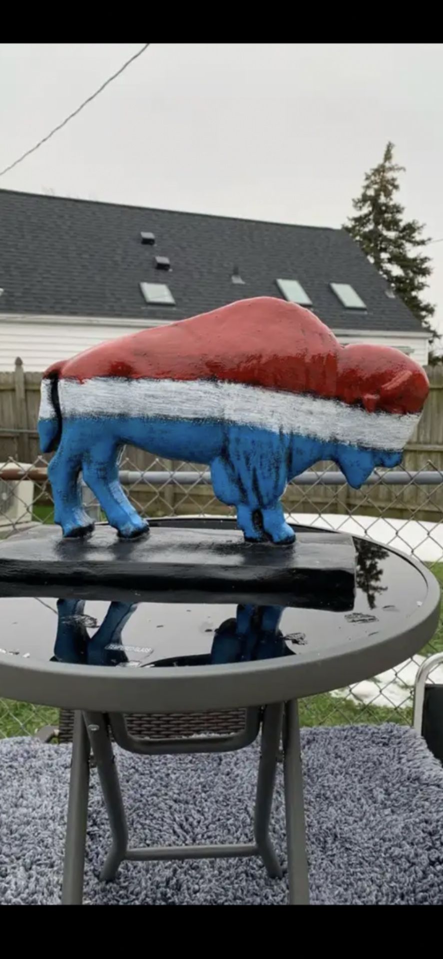 Red white and blue buffalo