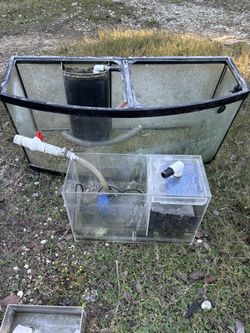 Salt Water Aquarium