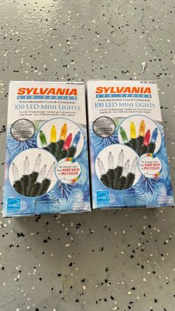 Holidays outdoor LED mini lights