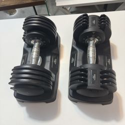 Flybird Adjustable Dumbbell,25lb Dumbbell for Men and Women in excellent condition 