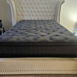 WHITE bed - EXTRA TALL headboard 💎 