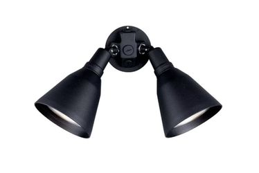Progress Lighting 2-Light Adjustable Swivel Black Flood Light with Cover