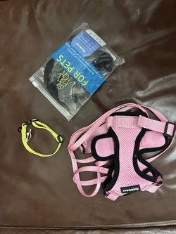 Cat Harness And Color -$15 