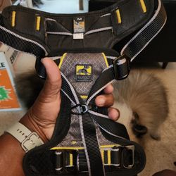 Kurgo Impact Dog Harness Medium