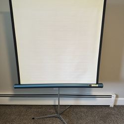 Vintage Sears Projection Screen