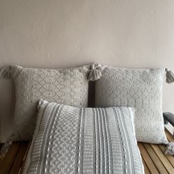 3 Indoor Couch Pillows