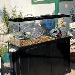 60 Gallon Freshwater Fish Tank