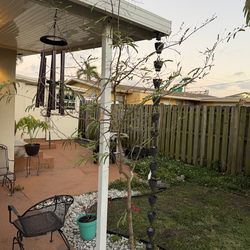 sweet tamarin tree free